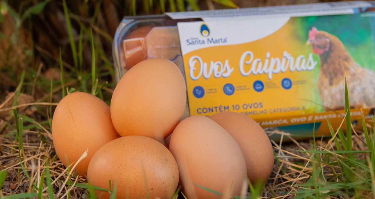 Identidade Visual: A Primeira Impressão que Fica